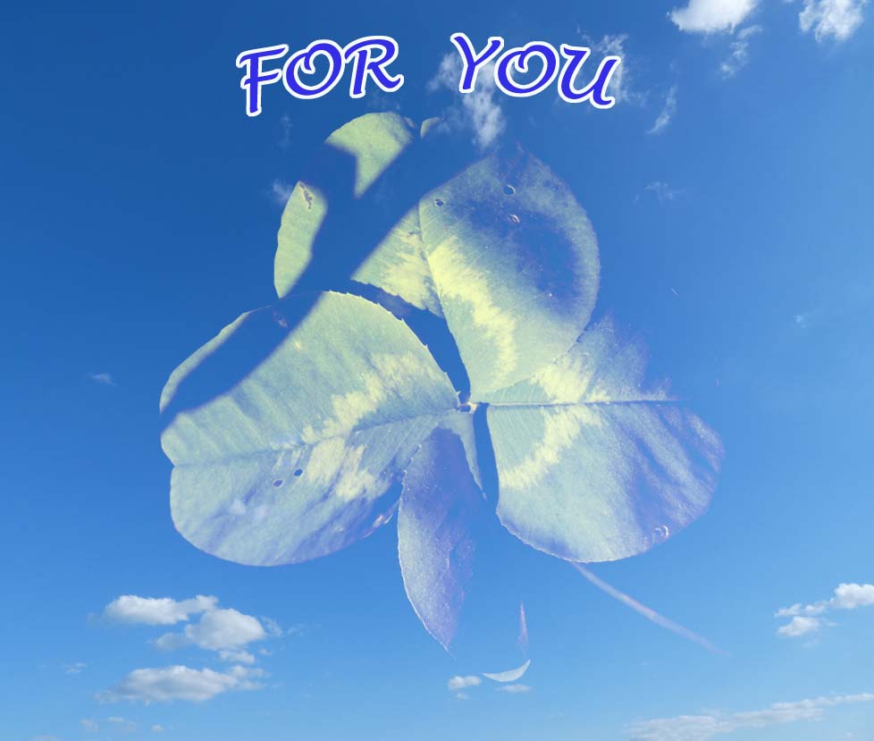 Cover Hinten Innen CD 40